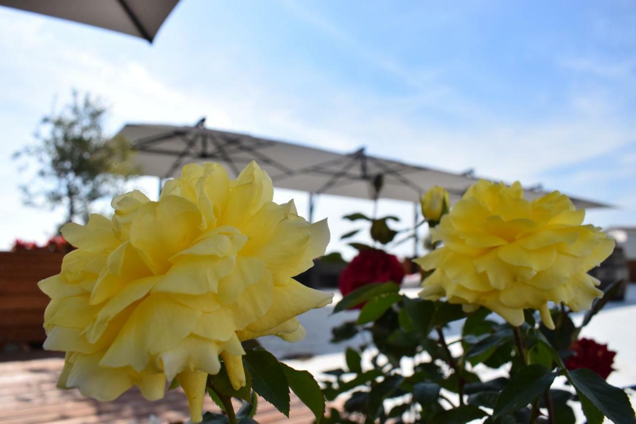 Chateau Linza Resort Tirana Buitenkant foto
