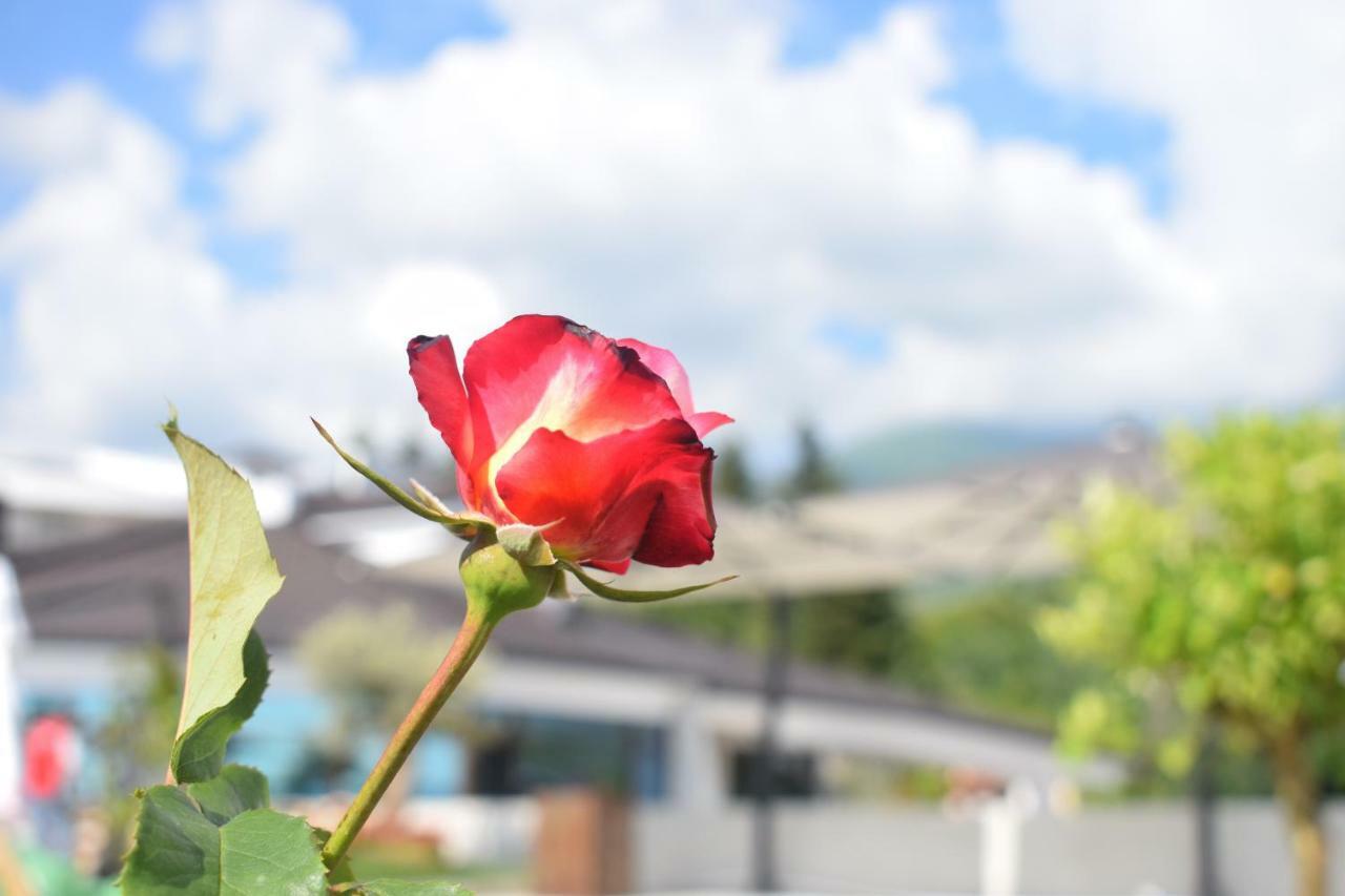 Chateau Linza Resort Tirana Buitenkant foto